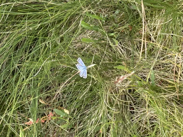 Årsmøde 30. oktober 2025 kl. 18:00